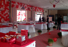 THEME PARTY